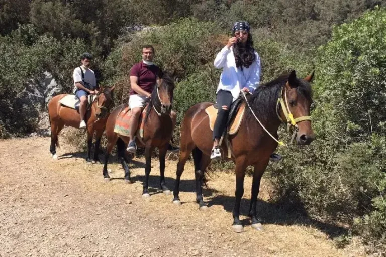 Bodrum At Safari Turu5