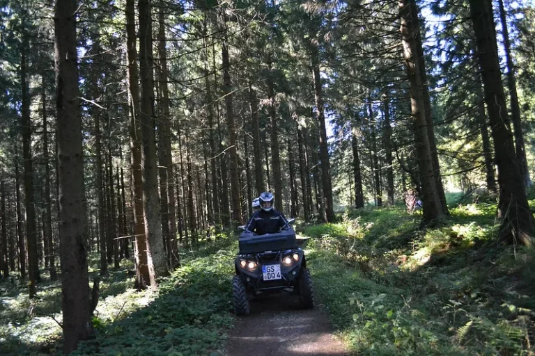 Bodrum Atv Buggy Safari Turu