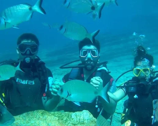 Bodrum Scuba Diving Tour 4 800x414 2 E1749893866961
