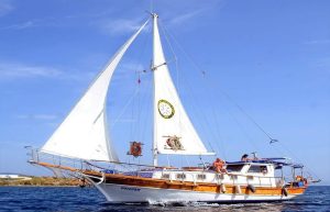 Bodrum Tekne Turu