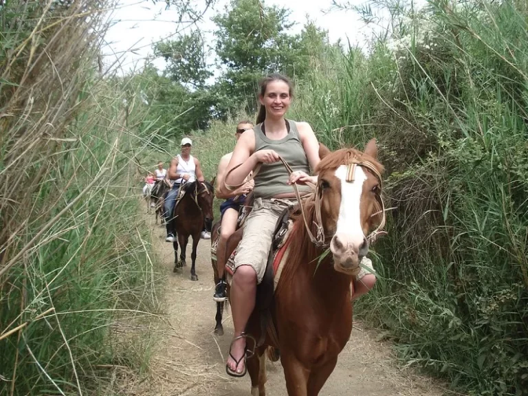 Bodrum At Safari